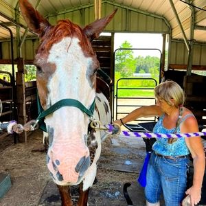 Meet your Posher, Roberta